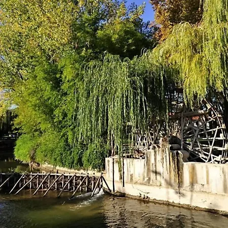 Casa Da Sinagoga דירה